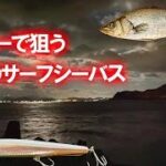 ミノーで狙う真冬の夜のサーフシーバス　ヒラスズキのような美味しい魚も釣れた　淡路島の釣り