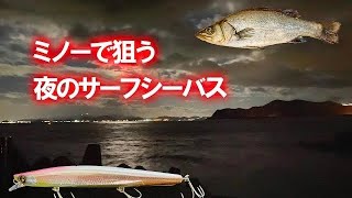 ミノーで狙う真冬の夜のサーフシーバス　ヒラスズキのような美味しい魚も釣れた　淡路島の釣り