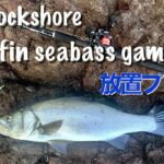 [放置プレイ編] 伊豆 Rock Shore ヒラスズキゲーム ハイライト vol.5