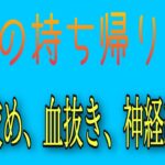 ヒラスズキ　釣れた魚の持ち帰り方