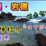 三重県の地磯ポイント・釣り場紹介／クロダイ・ヒラスズキ・ロックフィッシュ狙い