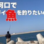 河口でシーバス、ヒラメ、コチを釣りたいのじゃ。