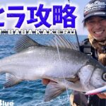 サラシが薄くても釣れる！馬場走の凪ヒラスズキ攻略法！！