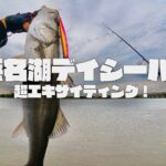 【爆釣】浜名湖デイゲームでシーバスが釣れまくる！〜ブローウィン140s〜