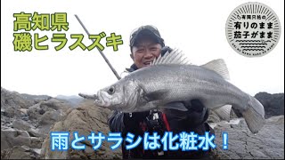 【磯釣り】高知県のヒラスズキ（2）雨とサラシは化粧水！