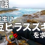 【大量発生⁉︎】本気で挑んだ“伊豆ヒラスズキ”〜雨天決行片道30分超の地磯に再挑戦編〜（釣れない釣り動画167）