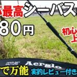 コスパ最高で高品質のシーバスロッドでアジの遠投サビキ釣りや黒鯛・イカ釣りしてみたのでご紹介します【激安8980円】【Goture／ゴチュール 】