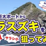 【神展開】磯でボートからヒラスズキを狙ってみたら一撃必殺だった。