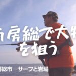 大物を釣りたくて南房総でヒラメとヒラスズキを狙った