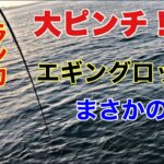 【新記録】エギングロッドにまさかのランカーシーバス！！