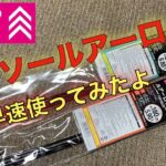 【シーバス 】ダイソールアーロッドで早速シーバスを釣りに行ってみた！結構使えるね