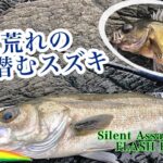 春の磯でヒラスズキ、シーバスを狙う！！【シーバス】【スズキ】【山口釣り】【角島】【磯マル】