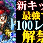 新キッド100レべが最強すぎる！DF界圧倒的一位！【バウンティラッシュ】