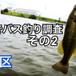 【荒川】海までバス釣り調査(その2)       
　都内　バス釣り　シーバス釣り