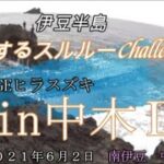 【REVENGE達成！】伊豆半島するするスルルーChallenge！ヒラスズキを狙えⅡ＆カンパチを狙え【＆もしかしてエサ取り攻略大ヒント？】