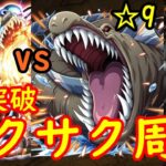 [トレクル]決戦vs近海の主☆9をサクサク全1突破カイドウ編成で! [OPTC]