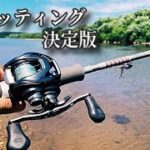 超高級ベイトロッドで清流シーバスを釣る！？タックル考察【21ドットスリー】