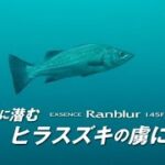 【シマノ21AW新製品】エクスセンスランブラー145Fフラッシュブースト　サラシに潜むヒラスズキの虜になれ！