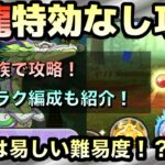 ぷにぷに【攻略】今回は超簡単！？風龍を特効なし攻略！！4種族それぞれ紹介と簡単周回編成を2パターン！！【妖怪ウォッチぷにぷに】