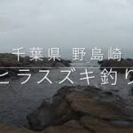 7月　野島崎　ヒラスズキ釣りたい