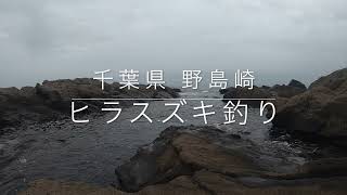 7月　野島崎　ヒラスズキ釣りたい