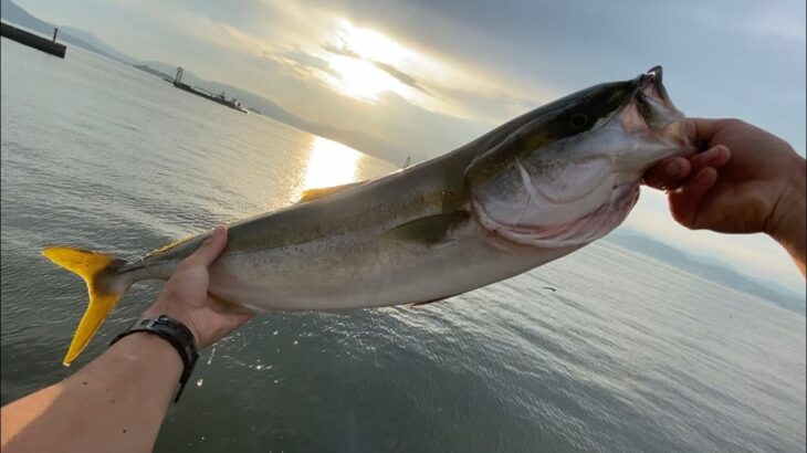 シーバスロッドでBIG fishを釣る！「ルアーフィッシング」