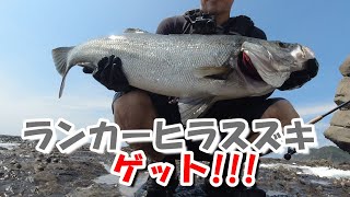 ランカーヒラスズキへの挑戦　No.6【対馬】ついにこの時がやってきた!!!