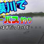 相模川で釣り【シーバス狙い】