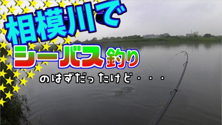 相模川で釣り【シーバス狙い】