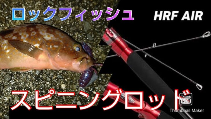 シーバスロッドで「ロックフィッシュ」をしながらロッドの話 #ロックフィッシュ #アコウ #キジハタ #DAIWA #HRF #シマノ #ディアルーナ