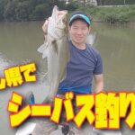 海なし県でシーバス釣り！