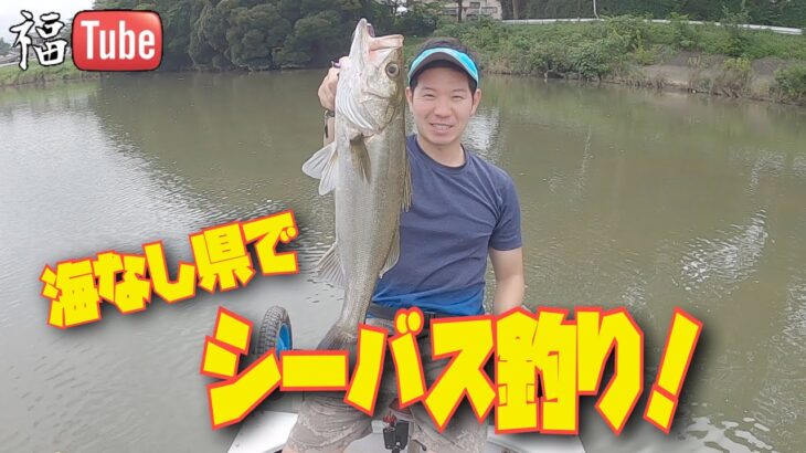 海なし県でシーバス釣り！