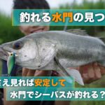 シーバスが釣れる水門の探し方