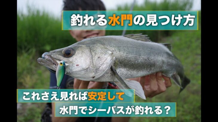 シーバスが釣れる水門の探し方