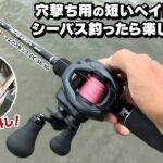 【シーバス】穴撃ち用の短いベイトロッドでシーバス釣ったら楽しかった！　ディアルーナ BS B510M × エクスセンス DC SS XG