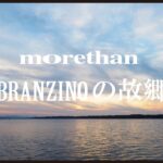 [シーバス] morethan BRANZINOの故郷