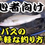 【誰でも簡単】シーバス(スズキ)の手軽な釣り方とタックルを紹介します！！　堤防から狙うシーバスはルアーフィッシング入門に最適です！！【ルアー釣り】【初心者向け】