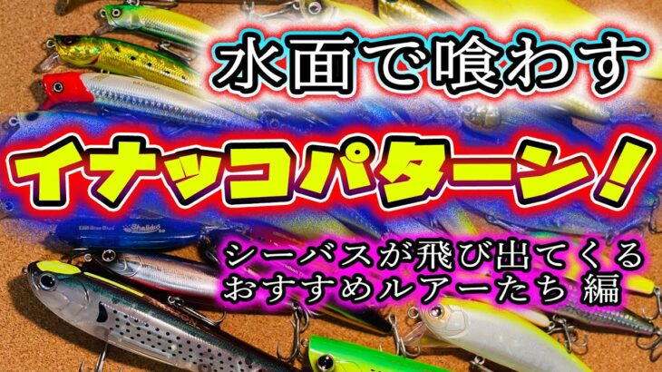 水面で喰わすイナッコパターン！シーバスが飛び出てくるおすすめルアー編