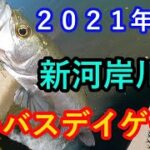 【新河岸川】シーバス、デイゲーム。