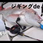 FSロッドでの鯛ジギングが楽しい件 編【p.s.シーバス釣れません】