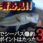 【シーバスの釣り方】サーフでシーバスを爆釣させる３つのポイントを徹底解説！【初心者必見】サーフシーバス講座　シーバス 釣り方（オレ釣りガチ勢じゃないんで東北青森県日本海釣り　シーバス）