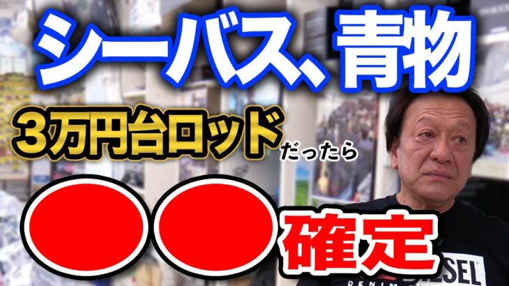 ３万円台でおすすめシーバス、青物ロッドは〇〇がいいと思います。【切り抜き】