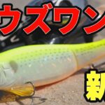 ダウズワン登場！【シーバス用ビッグジョイントペンシル】