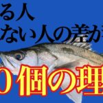 シーバスが釣れない原因になる10個の大事な事。シーバス初心者の人や始めたばかりの人に