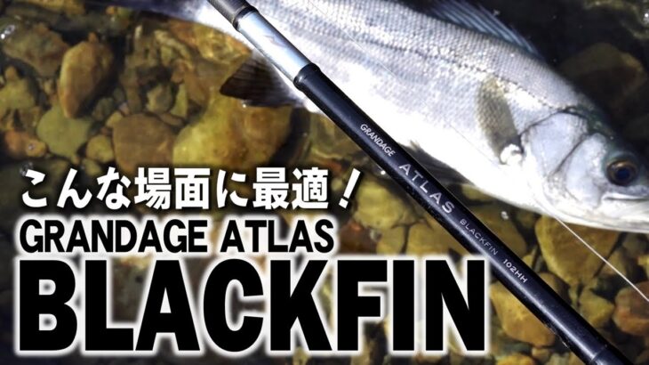 【GRANDAGE ATLAS BLACKFIN】ヒラスズキゲームに特化させた新シリーズをご紹介！