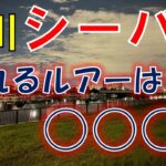 【東京中川】シーバス釣れない•••諦めずに「あれ」を投げると？