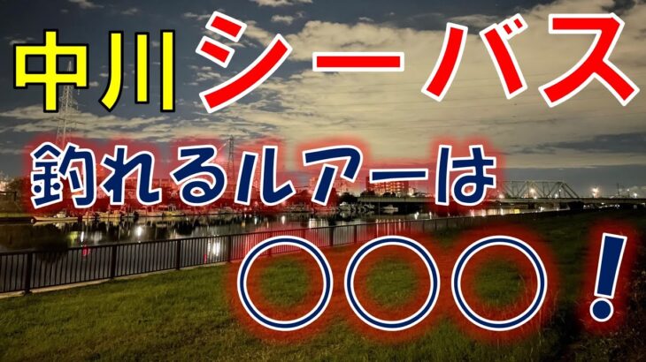 【東京中川】シーバス釣れない•••諦めずに「あれ」を投げると？