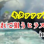 激荒れのハイシーズンにヒラスズキ狙いで地磯釣行！！ヒラスズキは楽しい〜！【ヒラスズキ】【シーバス】