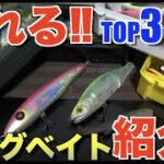 シーバス釣り　〜ビッグベイト紹介‼︎編〜