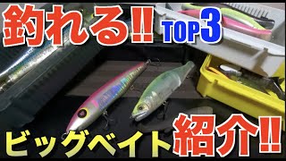 シーバス釣り　〜ビッグベイト紹介‼︎編〜